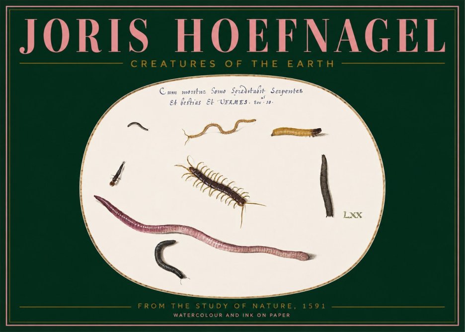 Joris Hoefnagel Creatures of the Earth II No2 - Juliste