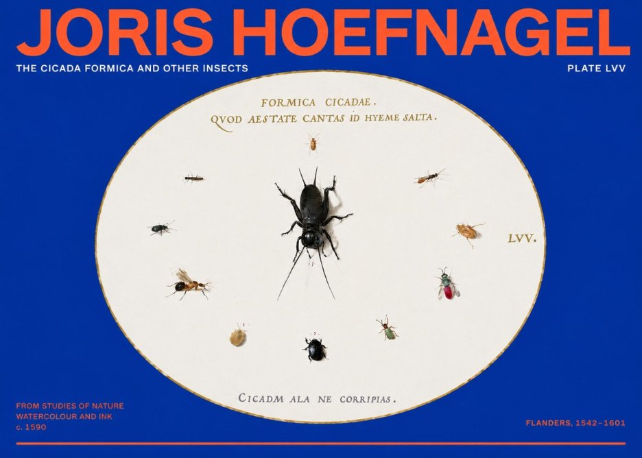 Joris Hoefnagel Formica Cicadae No6 - Juliste