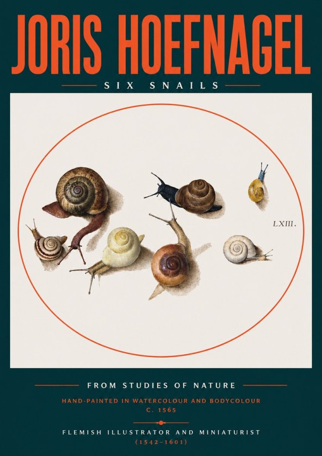 Joris Hoefnagel Six Snails No2 - Juliste