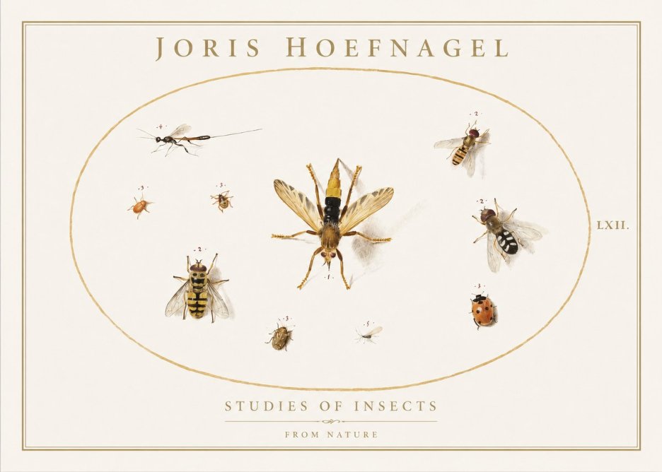 Joris Hoefnagel Studies of Insects IV No1 - Juliste