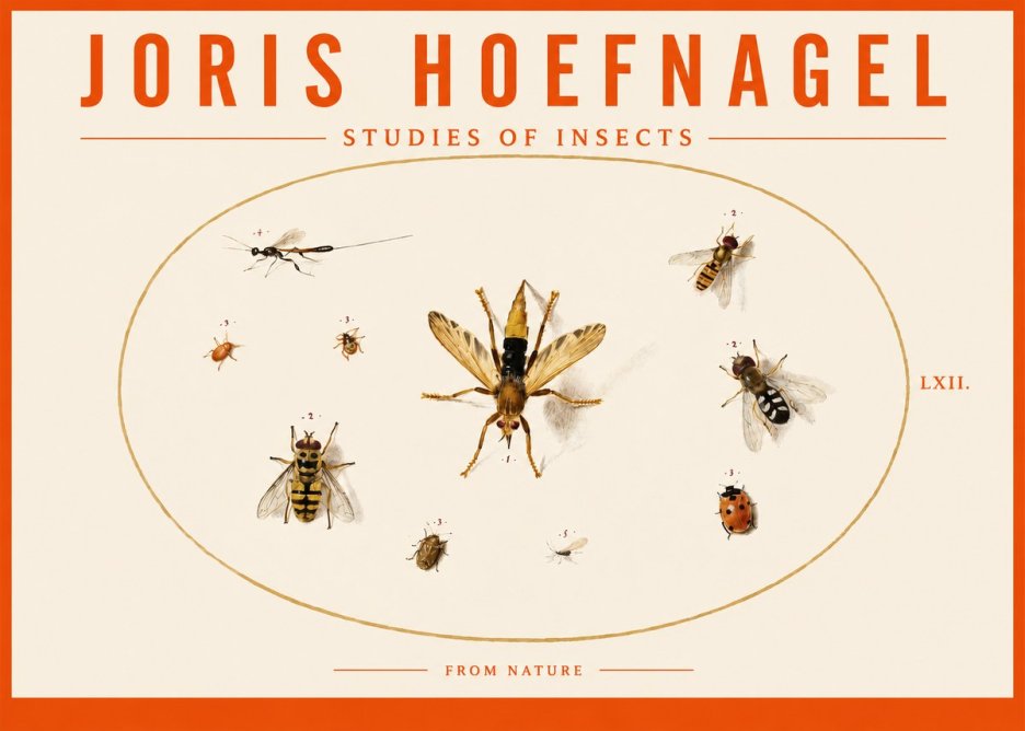 Joris Hoefnagel Studies of Insects IV No3 - Juliste