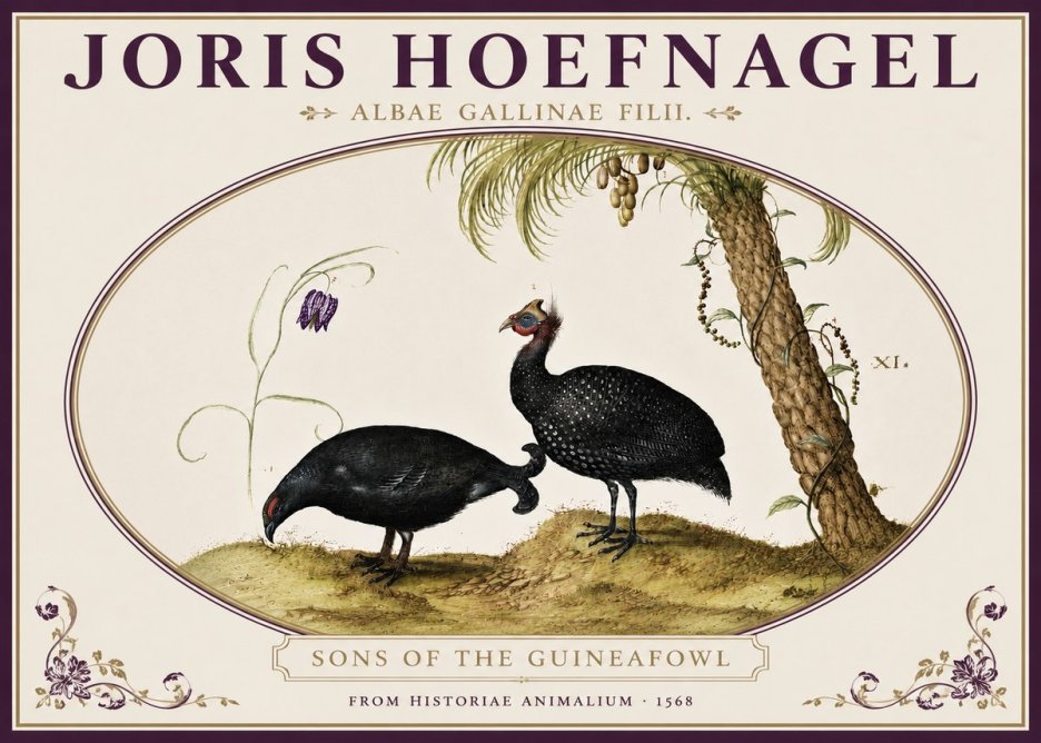 Joris Hoefnagel Albae Gallinae Filii. No4 - Juliste