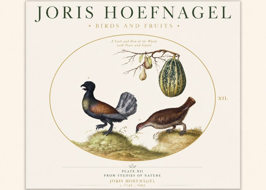 Joris Hoefnagel A Cock and Hen of the Woods with Pears and Gourd No1 - Juliste