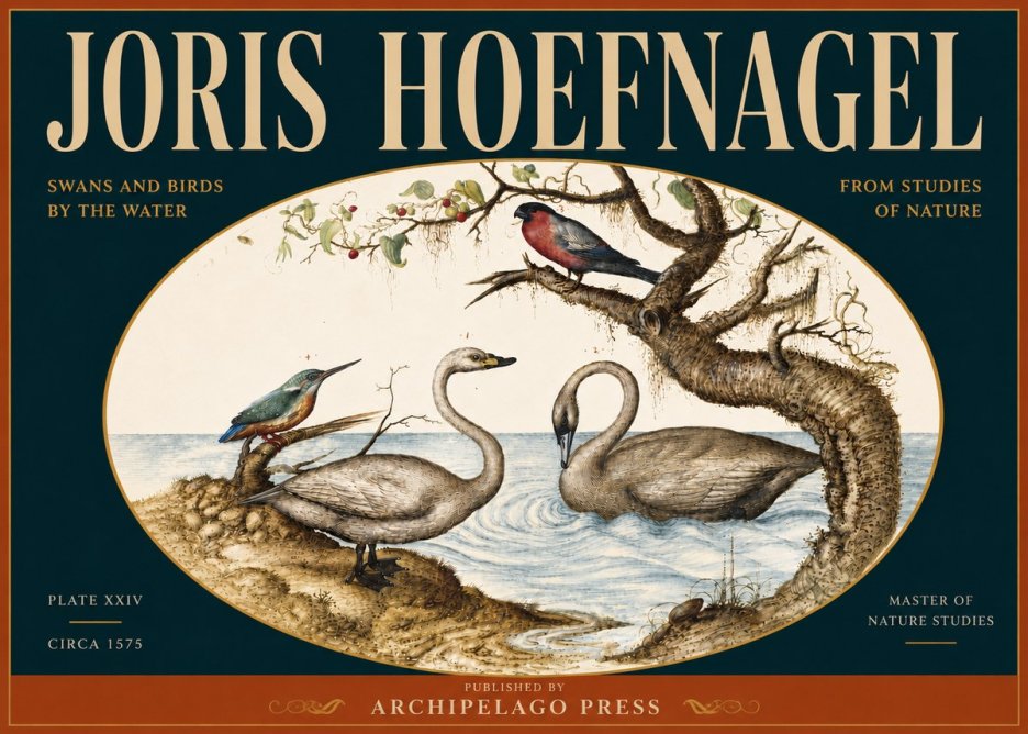 Joris Hoefnagel Swans and Birds by the Water No5 - Juliste