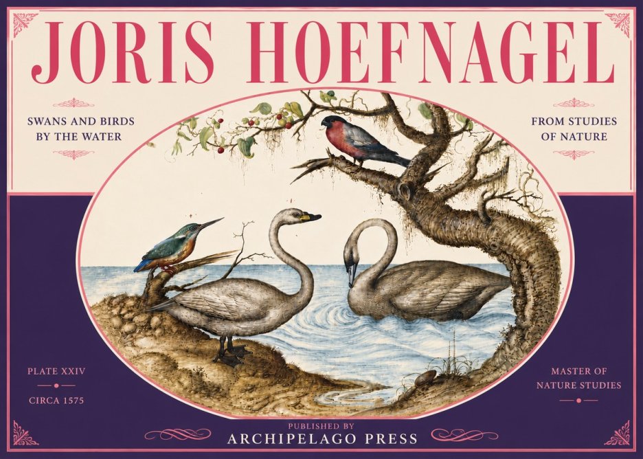 Joris Hoefnagel Swans and Birds by the Water No6 - Juliste