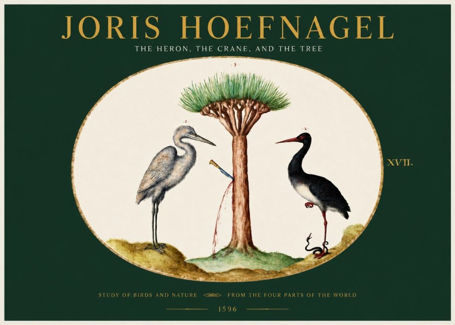 Joris Hoefnagel The Heron, the Crane, and the Tree No2 - Juliste