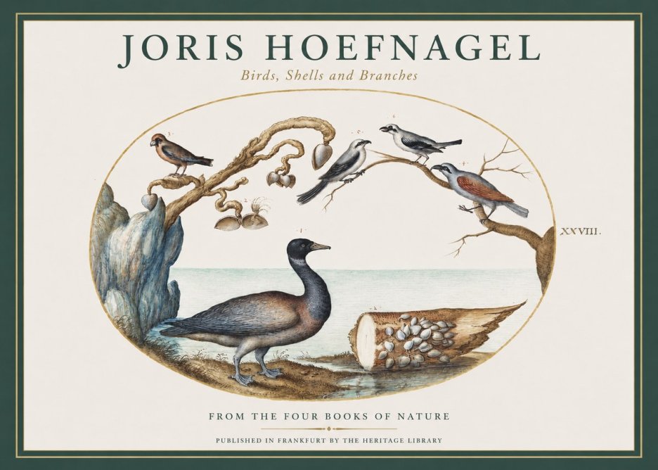 Joris Hoefnagel Birds, Shells and Branches No1 - Juliste