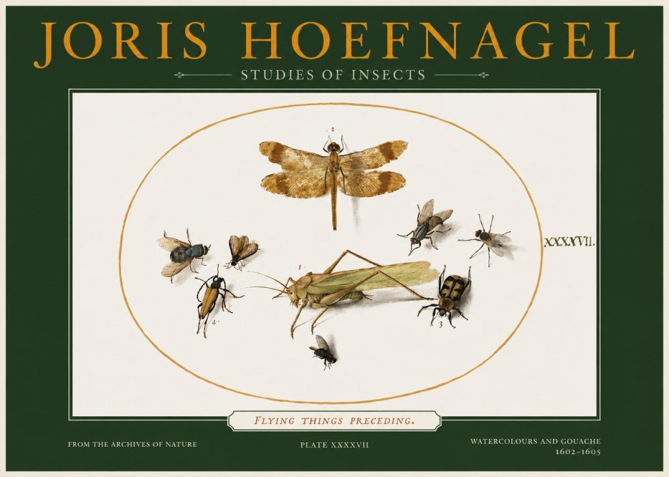 Joris Hoefnagel Flying Things Preceding. No2 - Juliste