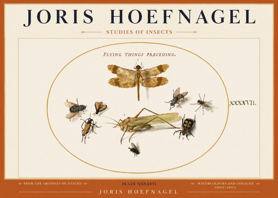 Joris Hoefnagel Flying Things Preceding. No3 - Juliste