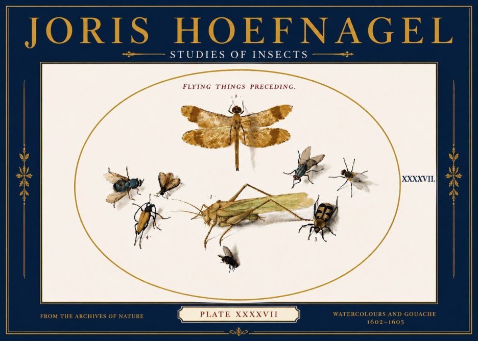 Joris Hoefnagel Flying Things Preceding. No6 - Juliste