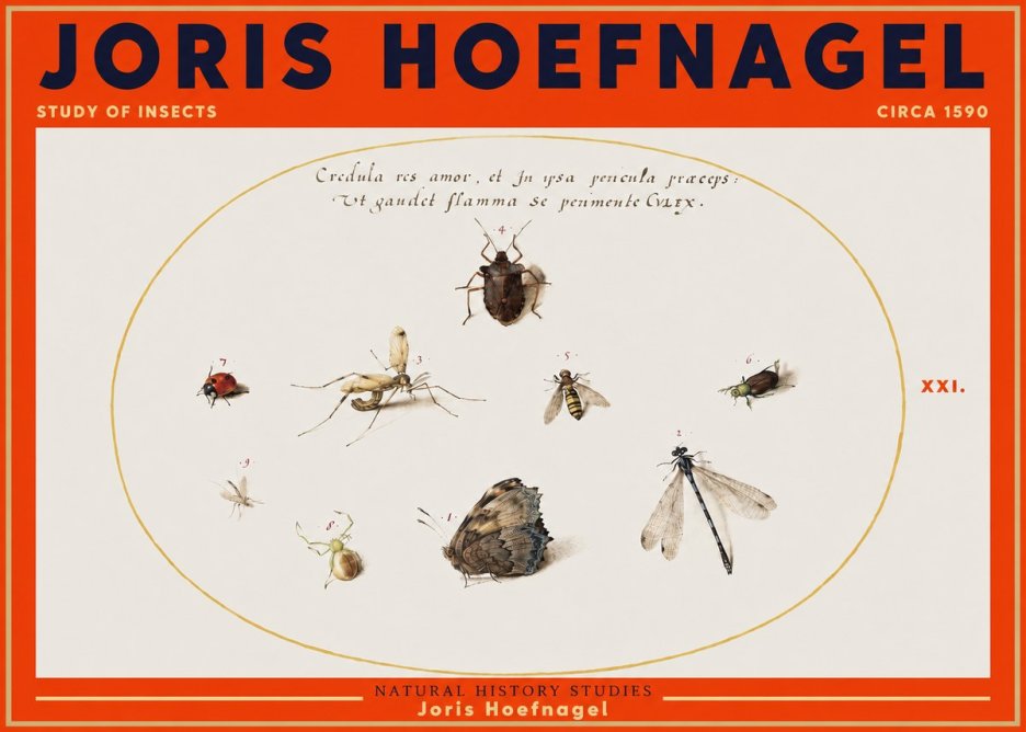Joris Hoefnagel Study of Insects • Circa 1590 No3 - Juliste