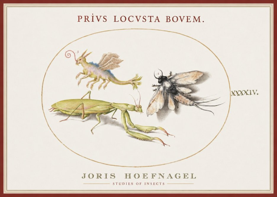 Joris Hoefnagel Privs Locvsta Bovem. No1 - Juliste
