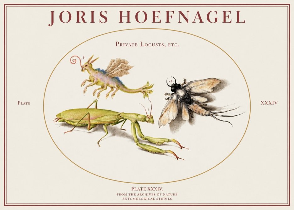 Joris Hoefnagel Privs Locvsta Bovem. No2 - Juliste