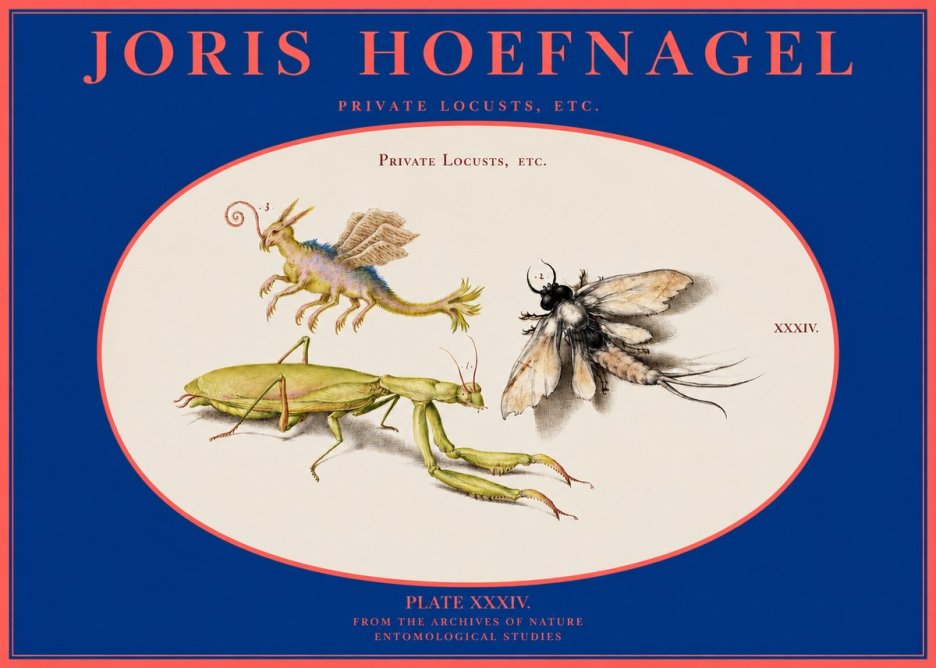Joris Hoefnagel Privs Locvsta Bovem. No3 - Juliste