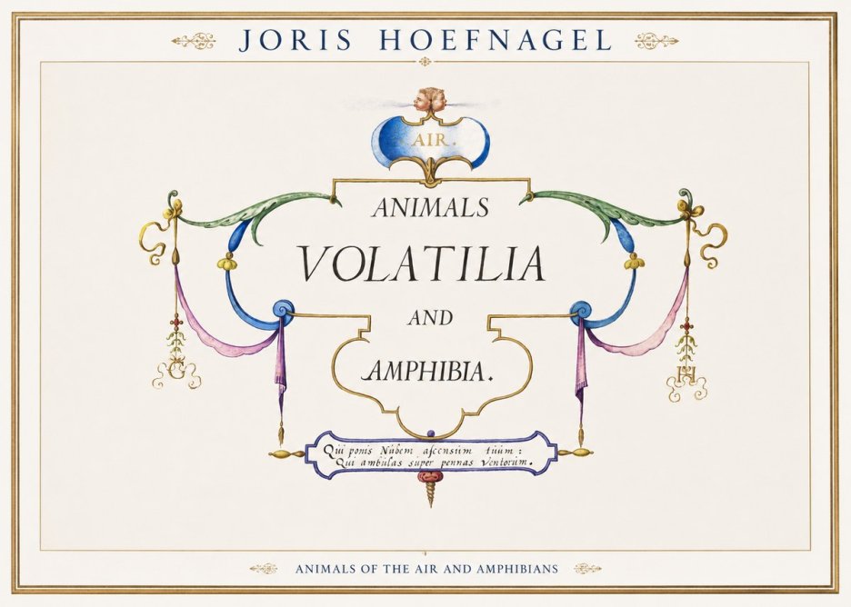 Joris Hoefnagel Animals Volatilia and Amphibia. No1 - Juliste