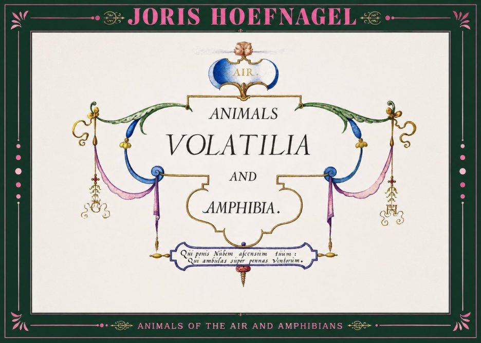 Joris Hoefnagel Animals Volatilia and Amphibia. No2 - Juliste