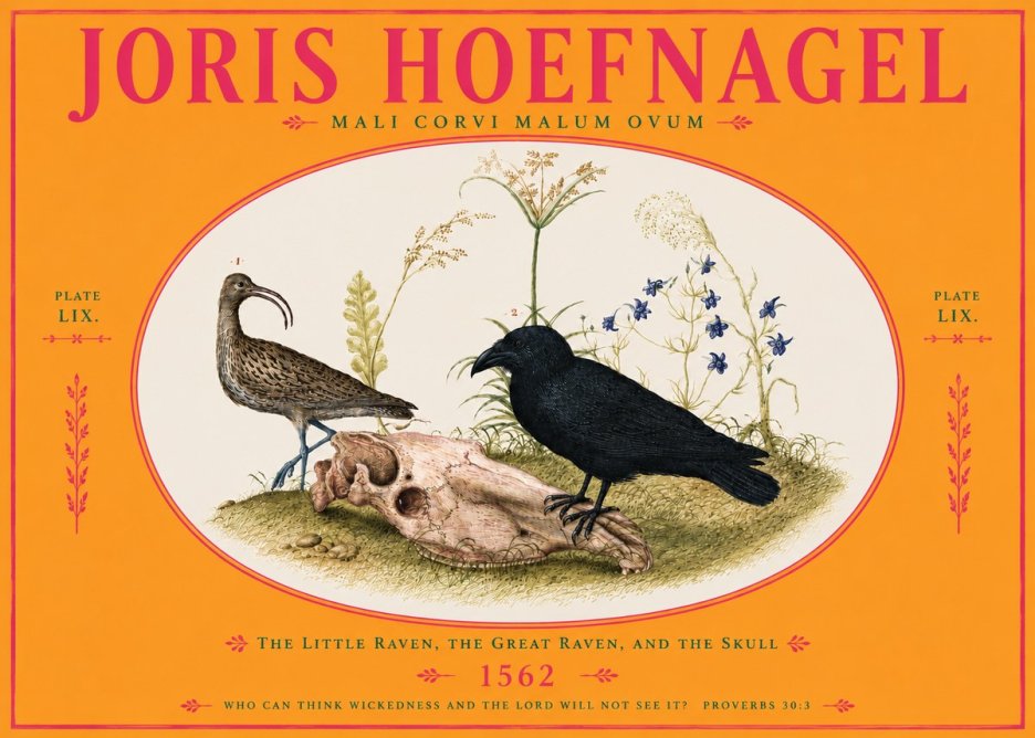 Joris Hoefnagel The Little Raven, the Great Raven, and the Skull No4 - Juliste