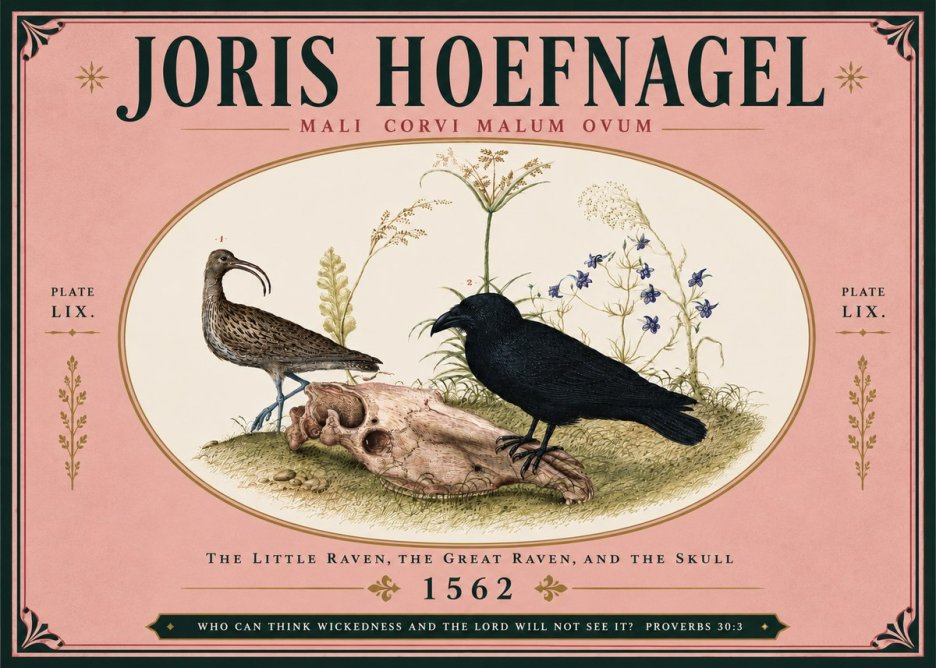 Joris Hoefnagel The Little Raven, the Great Raven, and the Skull No5 - Juliste