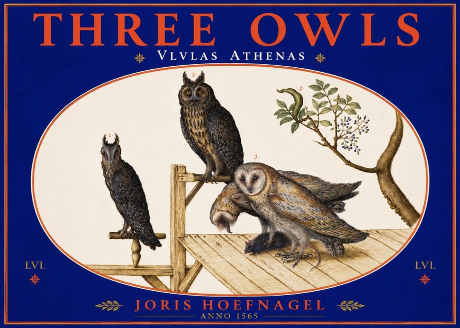 Joris Hoefnagel Vlvlas Athenas No5 - Juliste