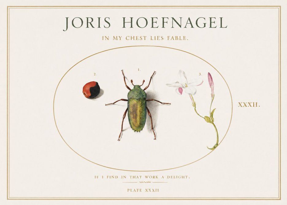 Joris Hoefnagel In My Chest Lies Fable No1 - Juliste