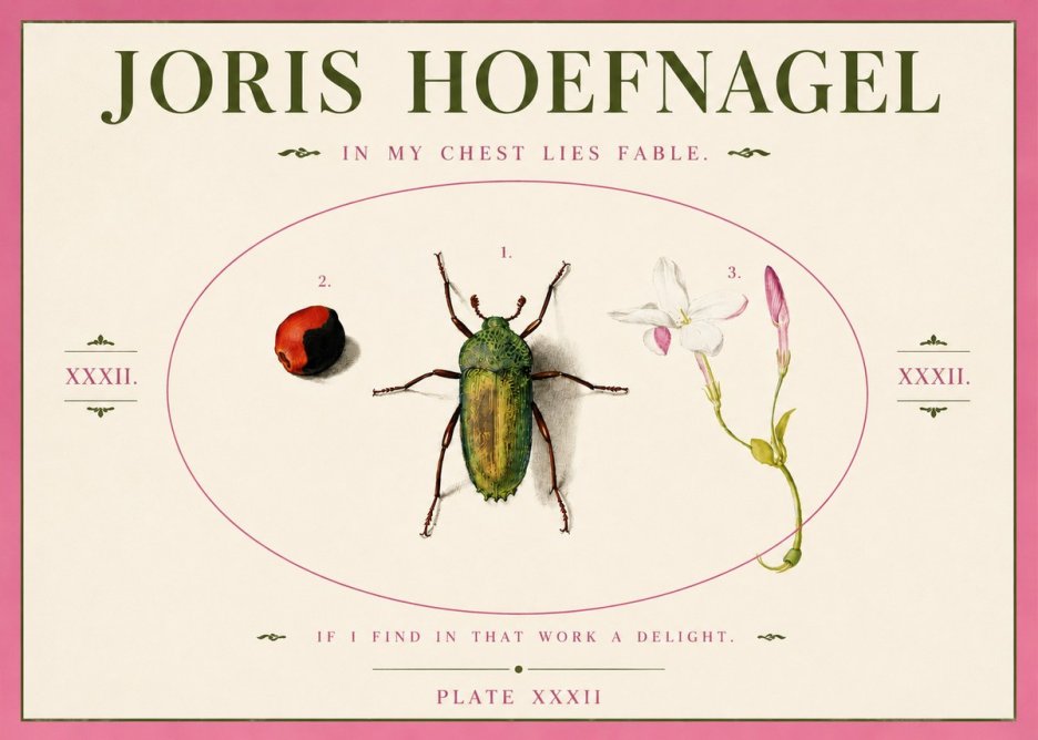 Joris Hoefnagel In My Chest Lies Fable No3 - Juliste
