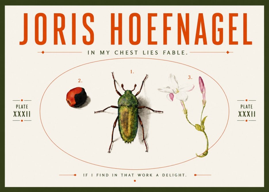 Joris Hoefnagel In My Chest Lies Fable No5 - Juliste
