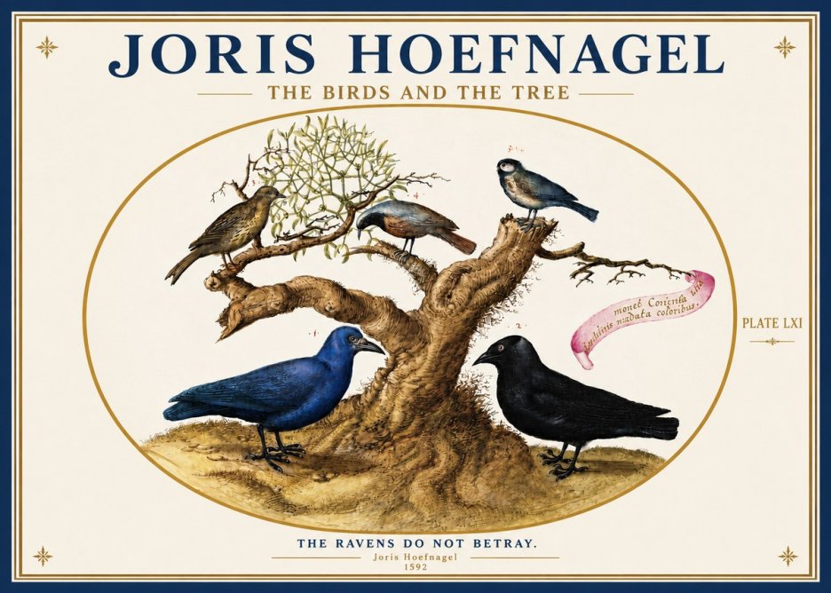 Joris Hoefnagel The Birds and the Tree No3 - Juliste