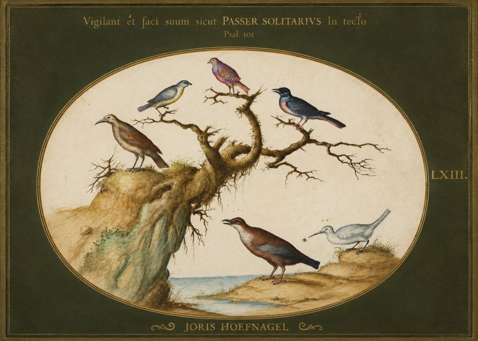 Joris Hoefnagel Vigilant Et Fact Suum Sicut Passer Solitarius in Tecto No1 - Juliste