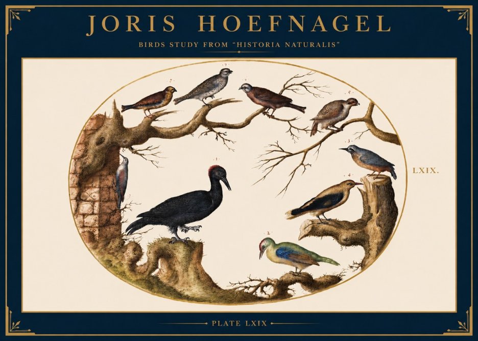 Joris Hoefnagel Birds in an Oval Frame No3 - Juliste