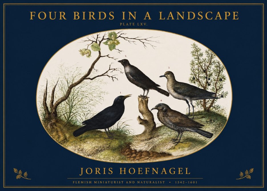Joris Hoefnagel Four Birds in a Landscape No2 - Juliste