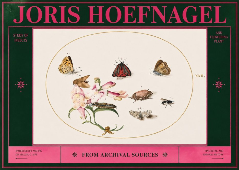 Joris Hoefnagel Study of Insects and Flowering Plant No2 - Juliste