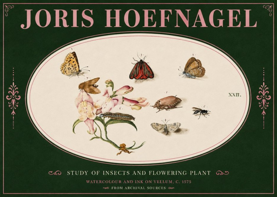 Joris Hoefnagel Study of Insects and Flowering Plant No4 - Juliste