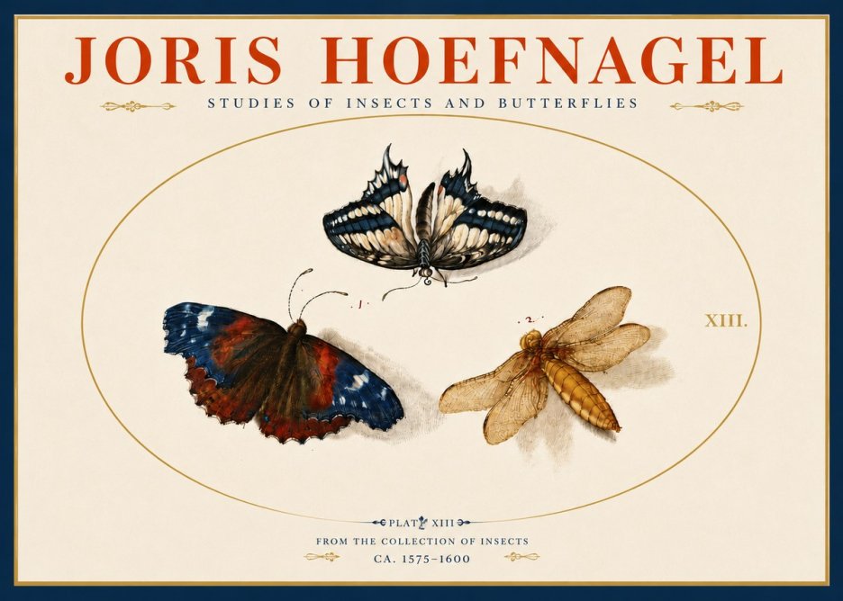 Joris Hoefnagel Studies of Insects - Plate Xiii No5 - Juliste