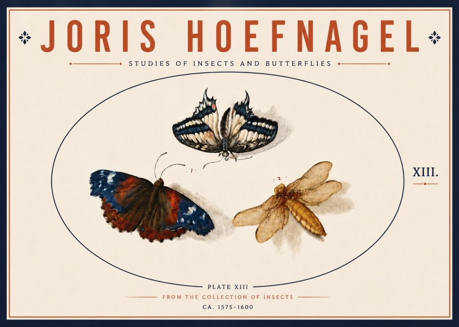 Joris Hoefnagel Studies of Insects - Plate Xiii No6 - Juliste