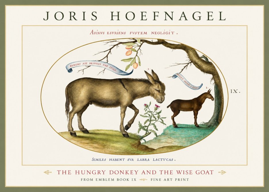 Joris Hoefnagel The Hungry Donkey and the Wise Goat No1 - Juliste
