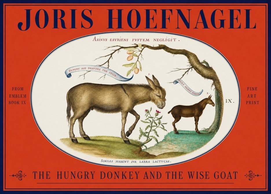 Joris Hoefnagel The Hungry Donkey and the Wise Goat No2 - Juliste
