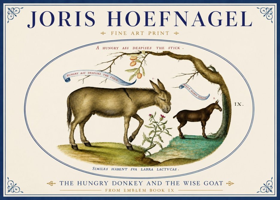Joris Hoefnagel The Hungry Donkey and the Wise Goat No4 - Juliste