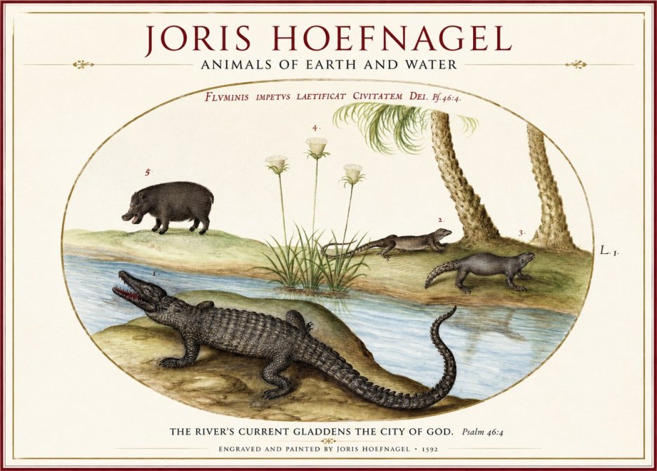 Joris Hoefnagel Animals of Earth and Water No1 - Juliste