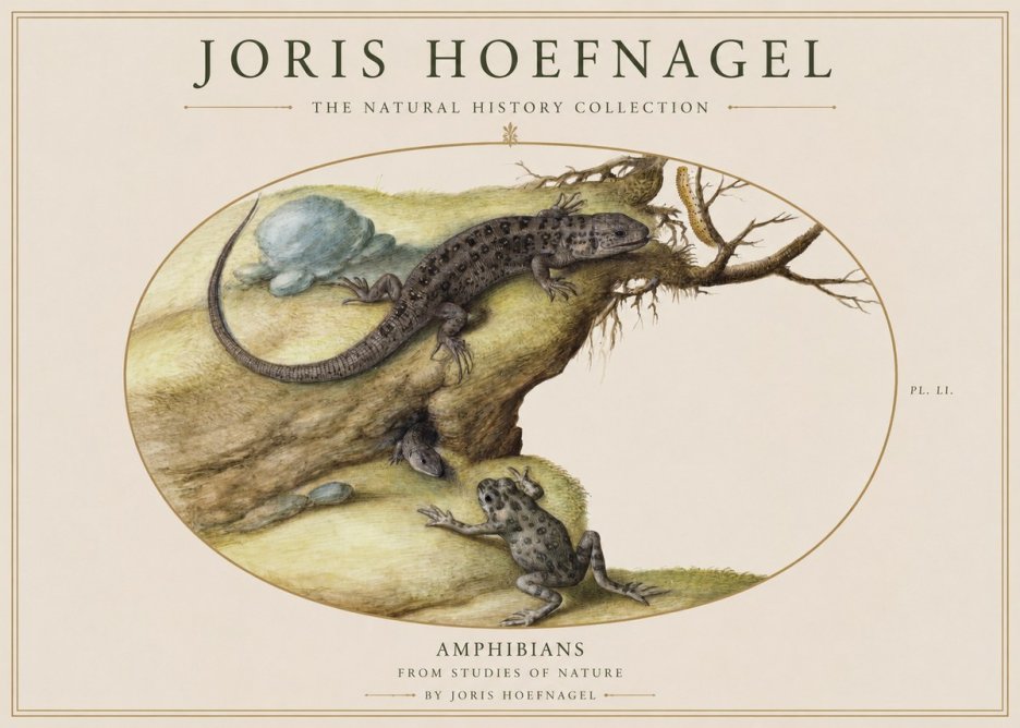 Joris Hoefnagel Amphibians from Studies of Nature No1 - Juliste