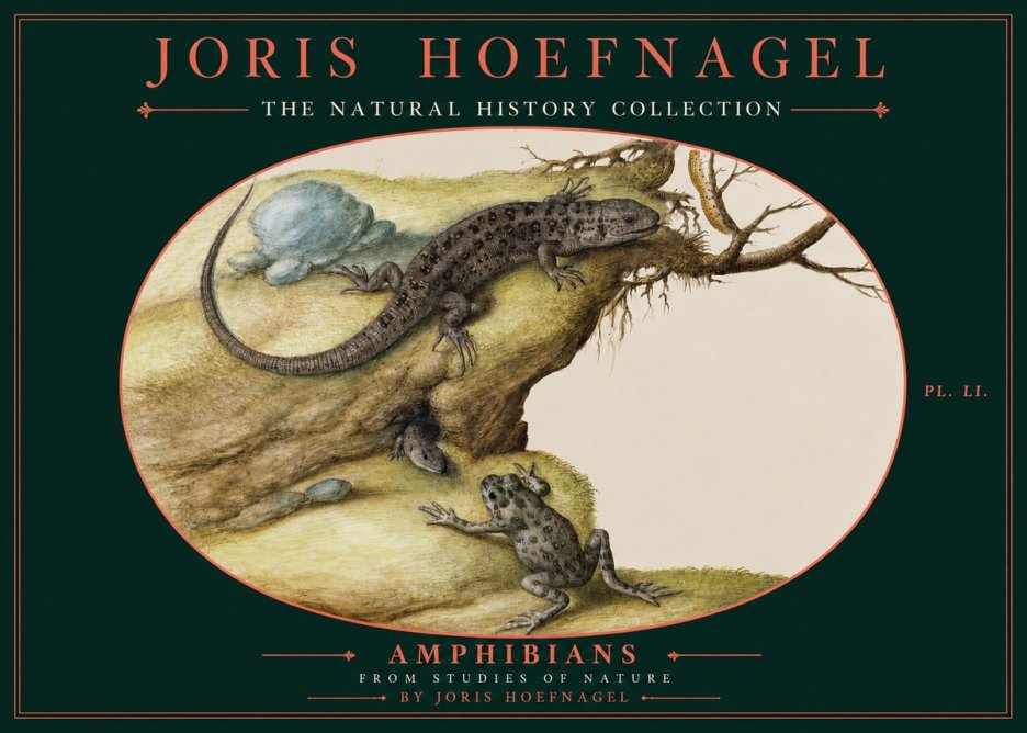 Joris Hoefnagel Amphibians from Studies of Nature No2 - Juliste