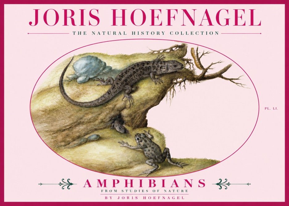 Joris Hoefnagel Amphibians from Studies of Nature No3 - Juliste