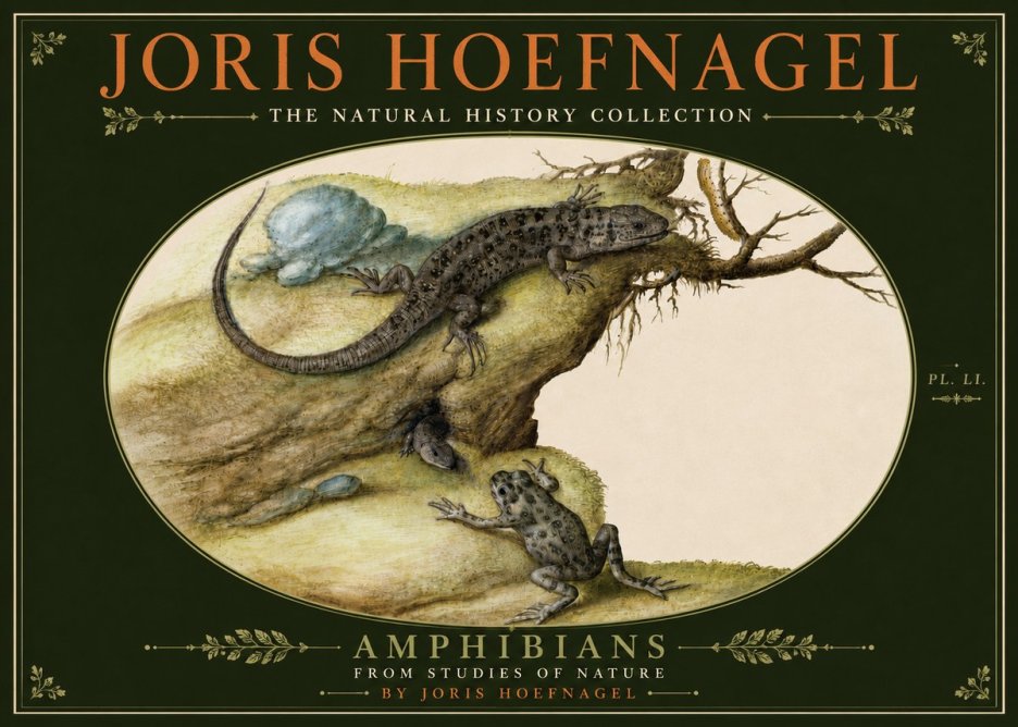 Joris Hoefnagel Amphibians from Studies of Nature No6 - Juliste