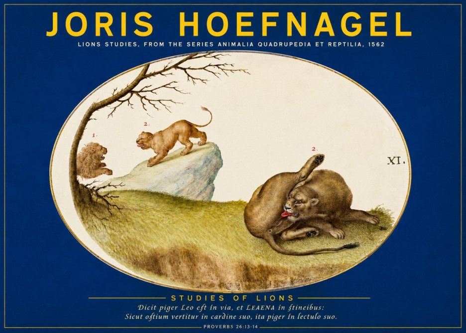 Joris Hoefnagel Lions Studies No2 - Juliste