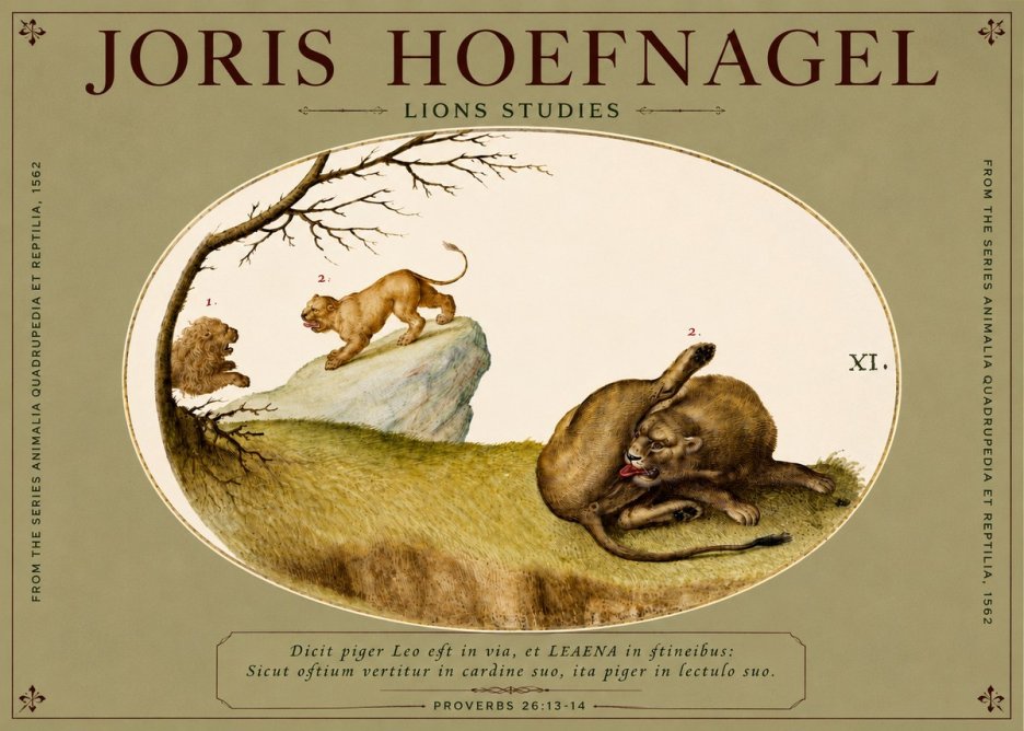 Joris Hoefnagel Lions Studies No4 - Juliste