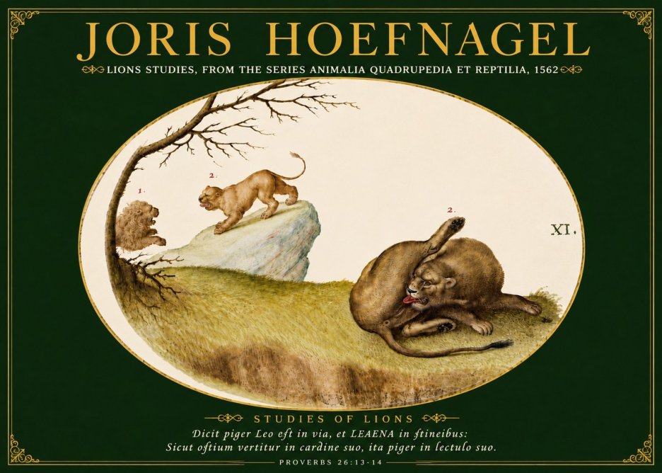 Joris Hoefnagel Lions Studies No5 - Juliste