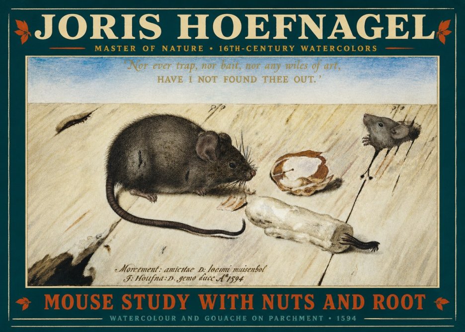 Joris Hoefnagel Mouse Study with Nuts and Root No2 - Juliste
