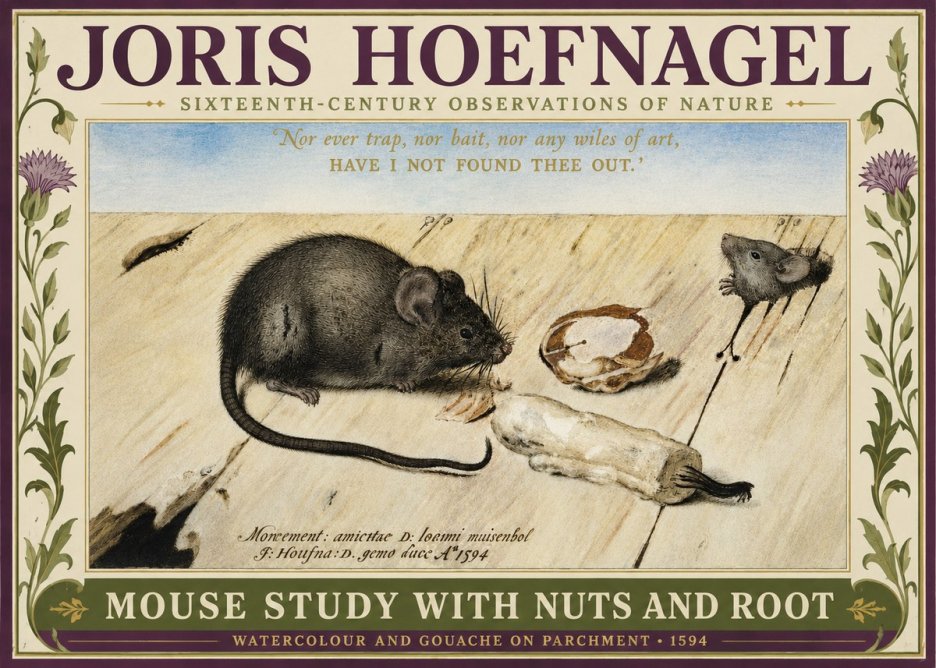 Joris Hoefnagel Mouse Study with Nuts and Root No3 - Juliste