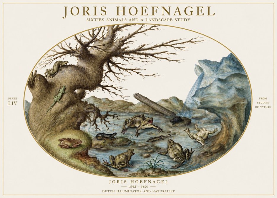 Joris Hoefnagel Sixtties Animals and a Landscape Study No1 - Juliste