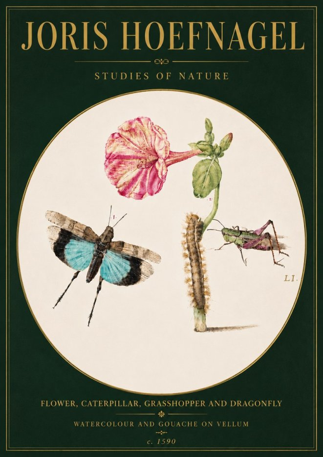 Joris Hoefnagel Plate L1. Studies of Insects and Plants No6 - Juliste