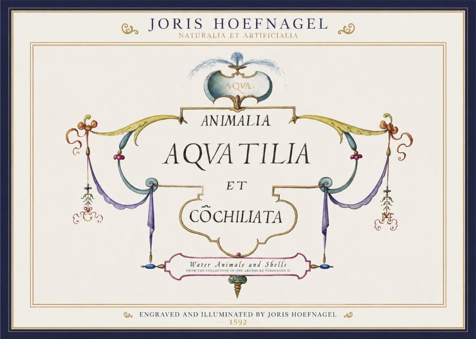 Joris Hoefnagel Animalia Aquatilia Et Cochiliata No1 - Juliste